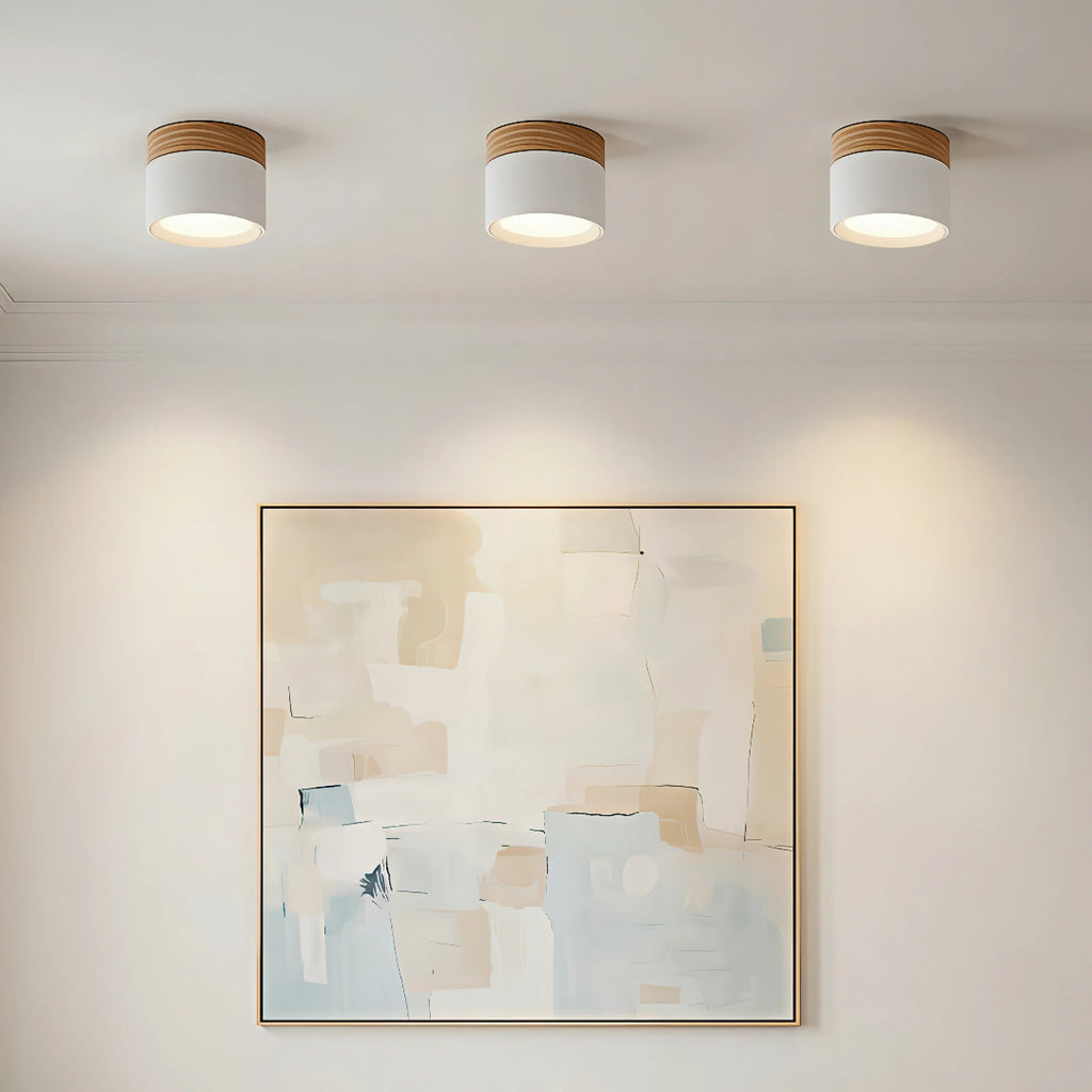 LED-Downlight Rund Ytmonterad Takspotlight Med Cylindrisk Form
