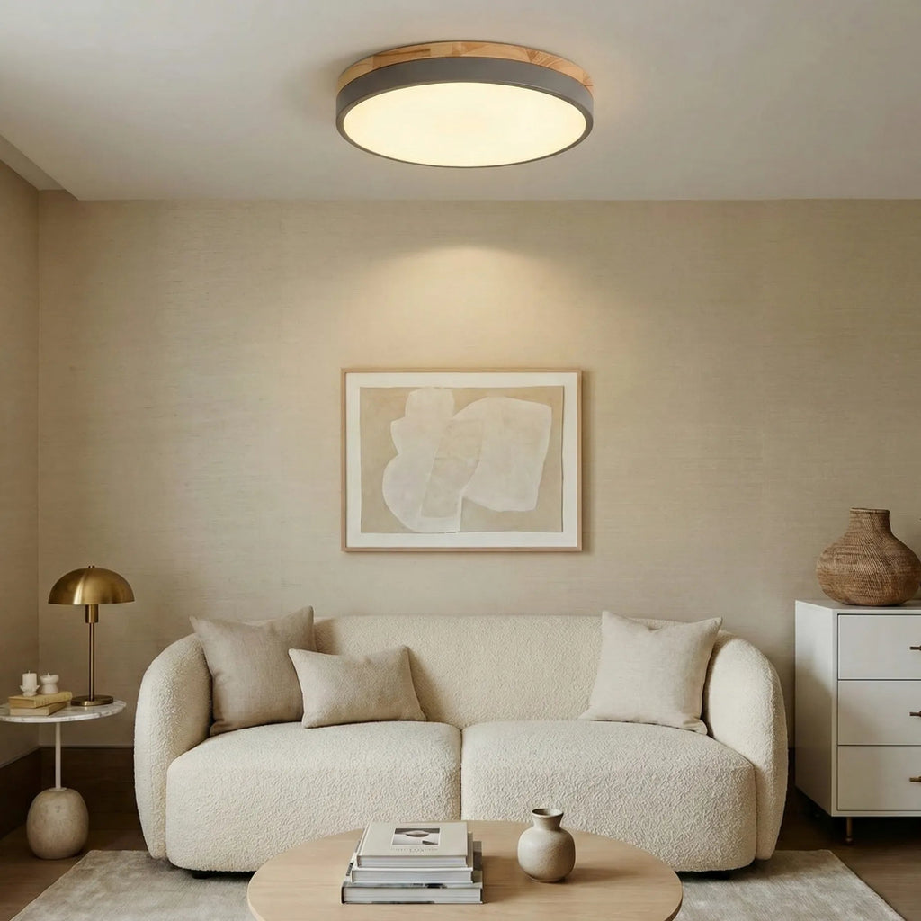 Rund LED-Plafond För Tak Med Smal Profil