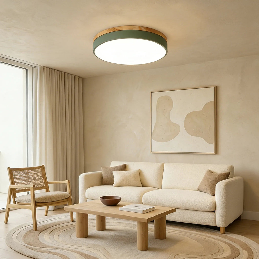 Rund LED-Plafond För Tak Med Smal Profil