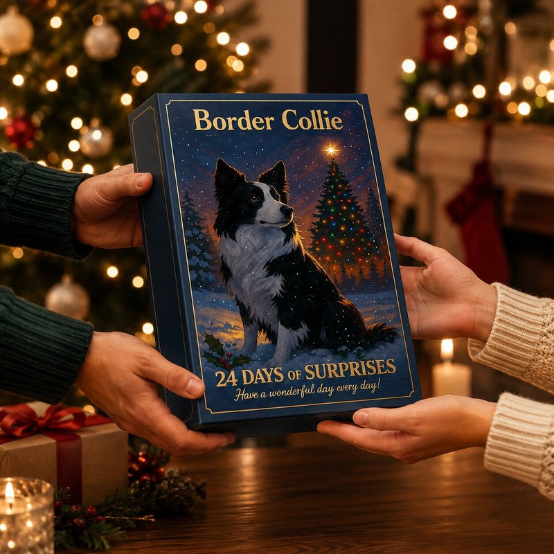 Adventskalender med Border Collie-tema - 2026