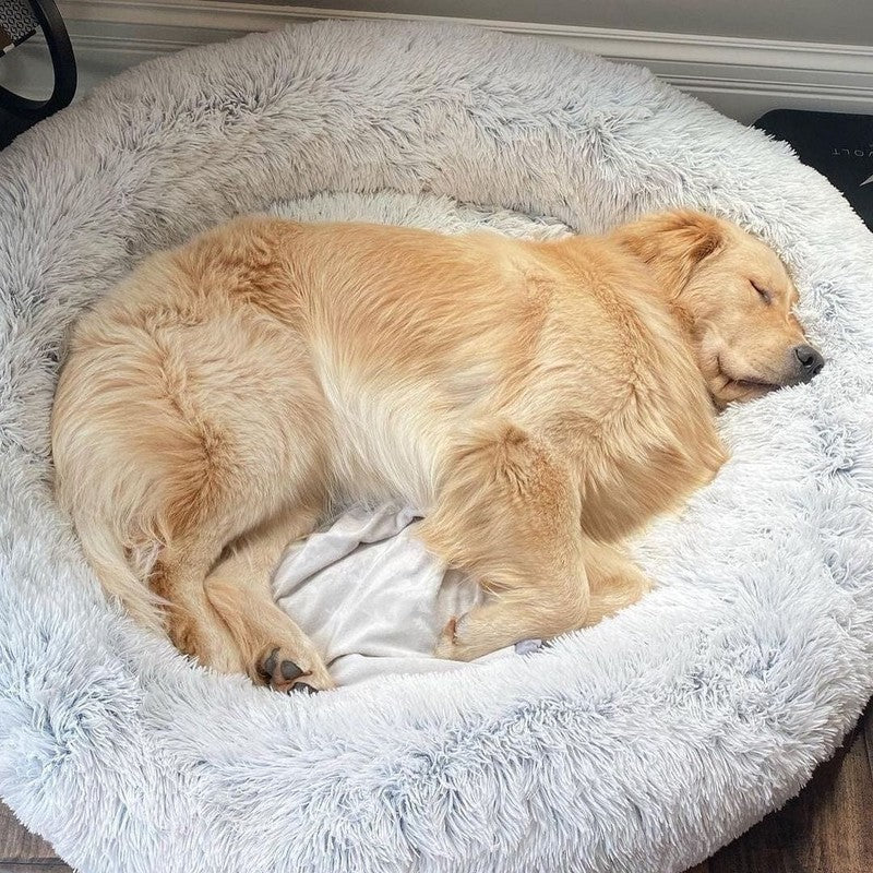 Hund- och kattsoffa - Rund modell med upphöjd