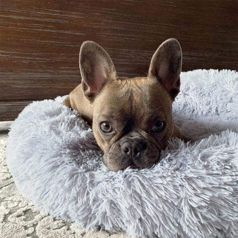 Hund- och kattsoffa - Rund modell med upphöjd