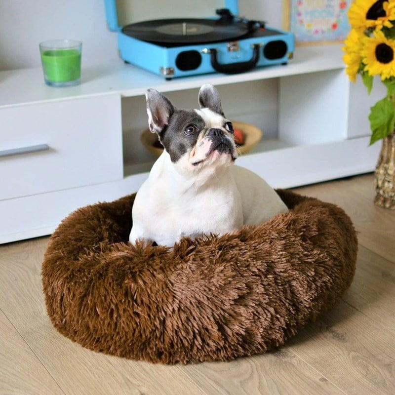 Hund- och kattsoffa - Rund modell med upphöjd