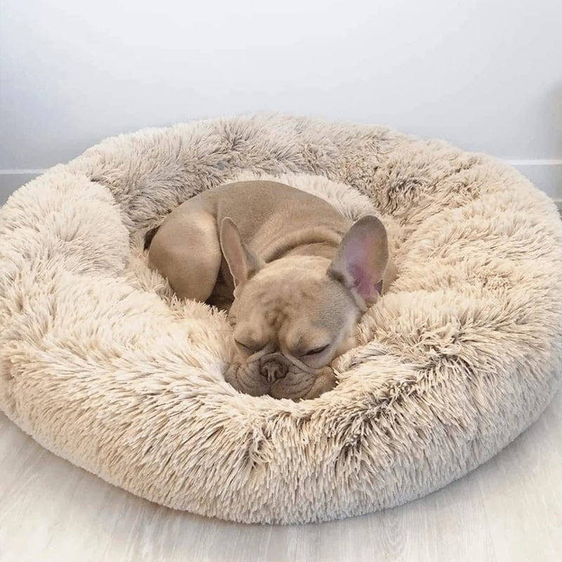 Hund- och kattsoffa - Rund modell med upphöjd