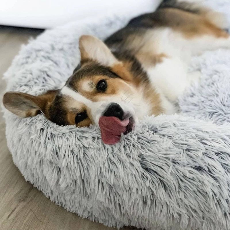 Hund- och kattsoffa - Rund modell med upphöjd