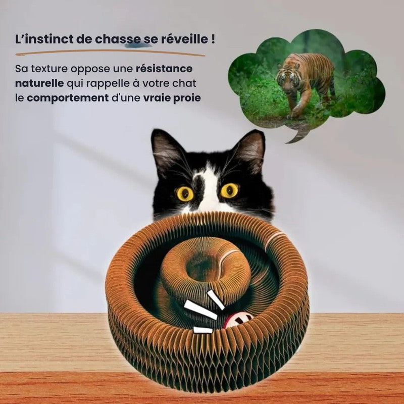 Kattklösa - Rund form med rörlig boll